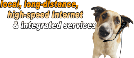 Save 20% on phone & T1 service